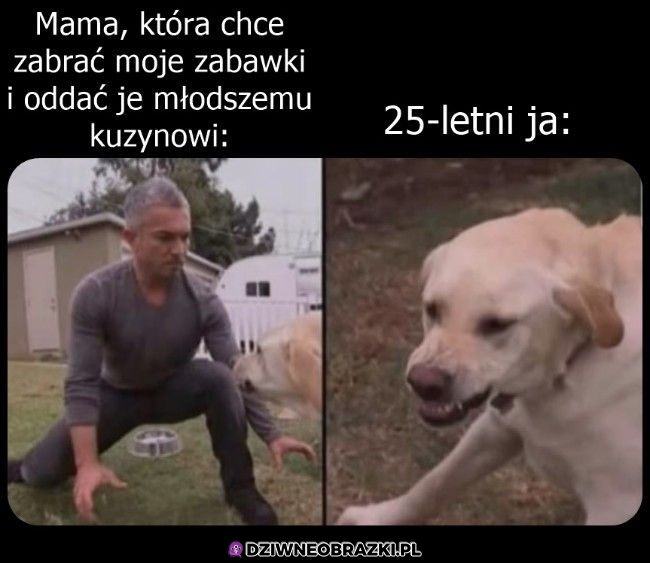 Nic z tego