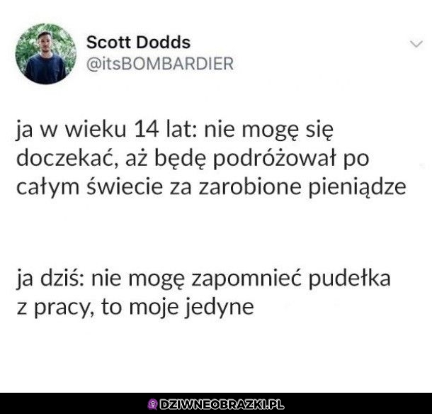 Bez kitu to