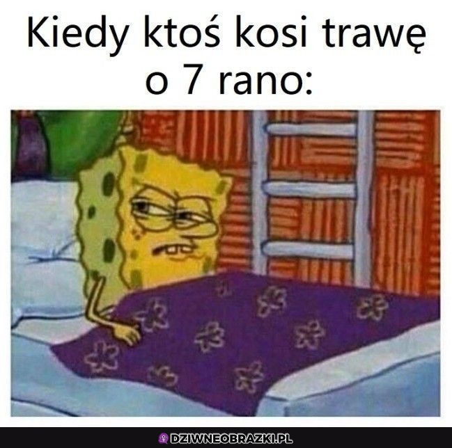 A ci to spać nie mogą? A ci to spać nie mogą?