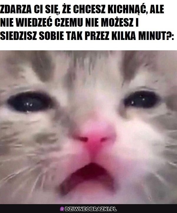 Ten moment