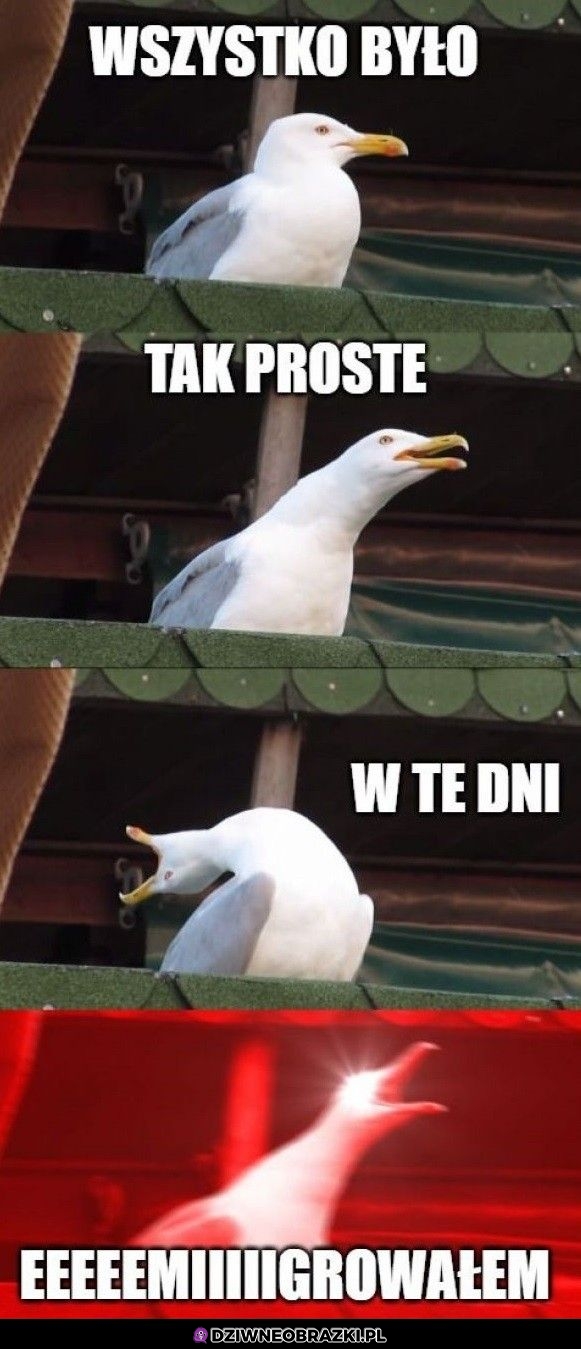 Zawsze