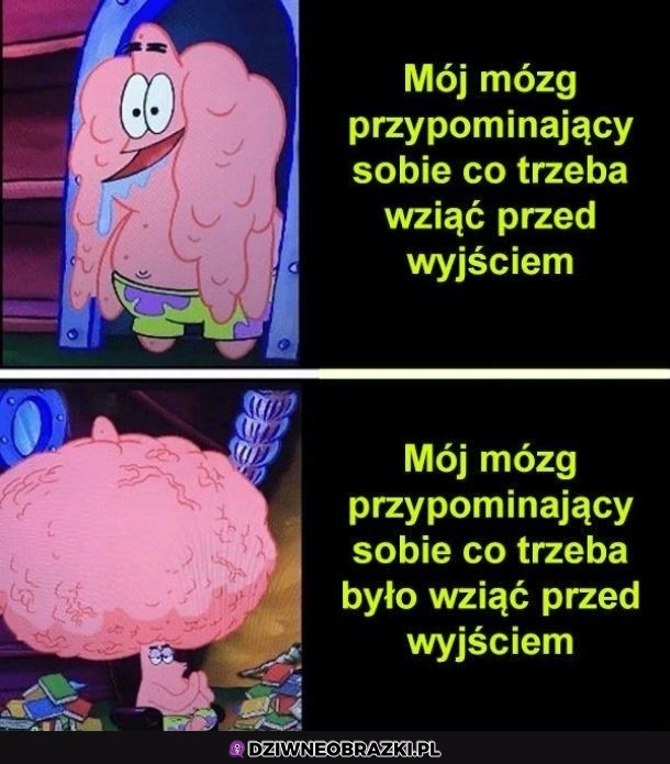Zawsze to samo