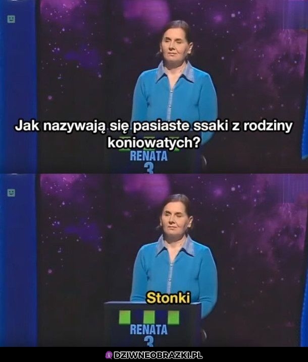 Pasiaste ssaki