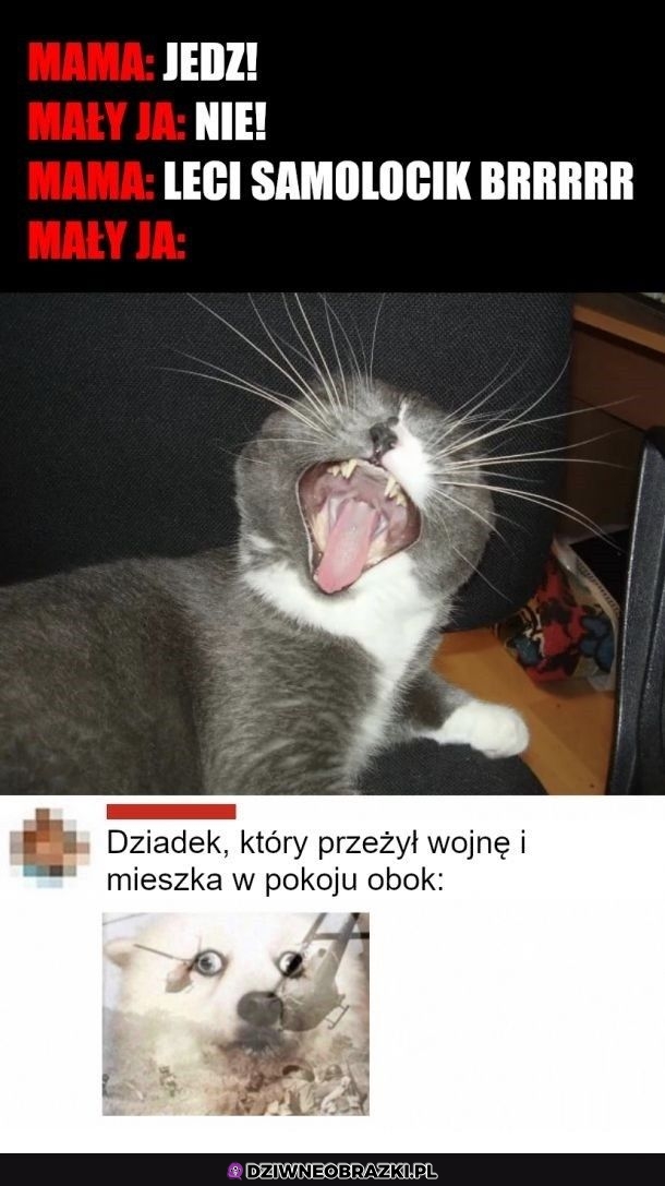 Leci samolocik