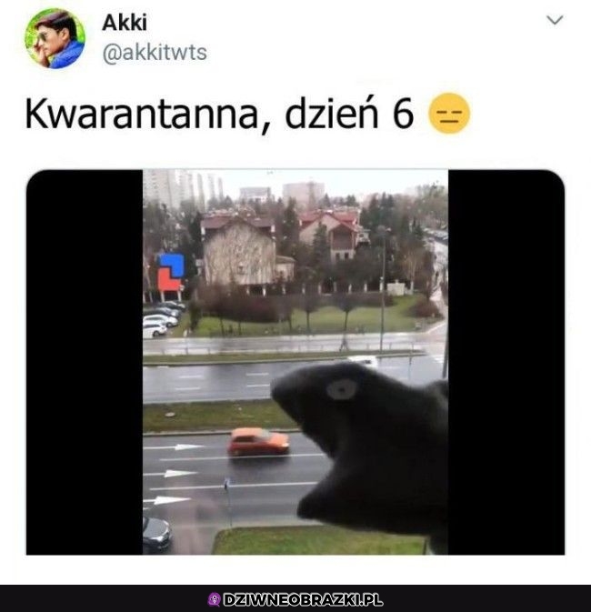 Jebla idzie dostać