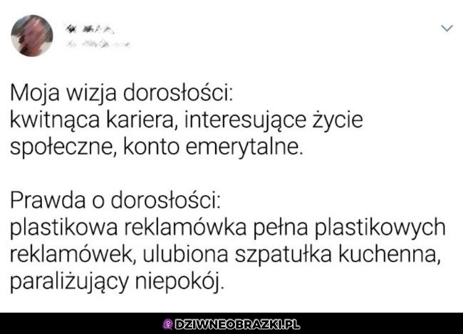 Tak wygląda moja dorosłość