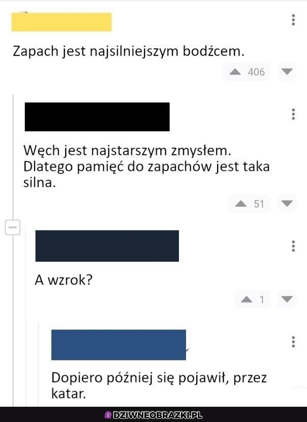 A więc to tak było