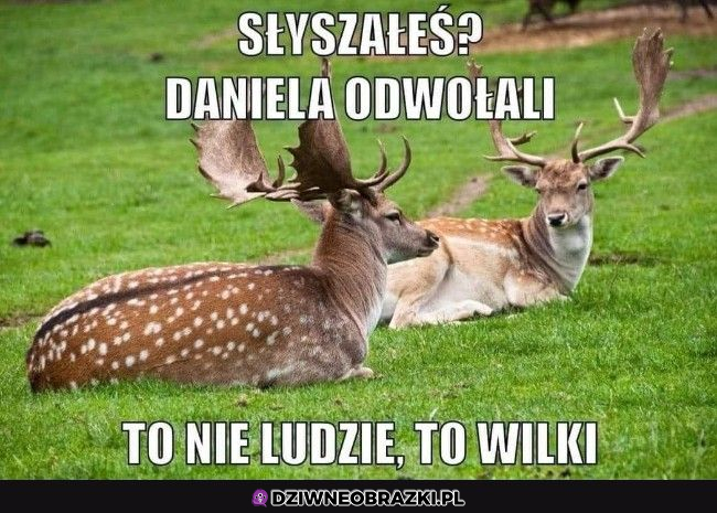 Stary słyszałeś? 