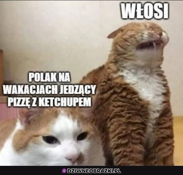 Kiedy to widzą