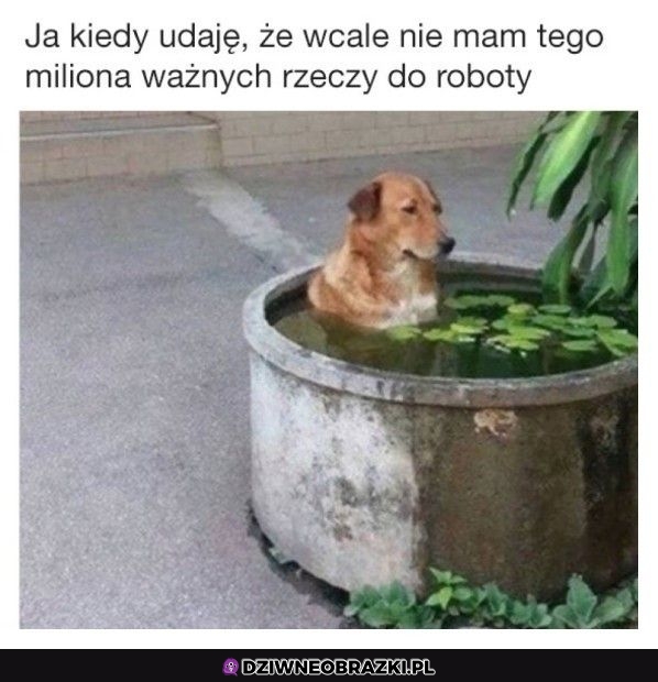 To ja