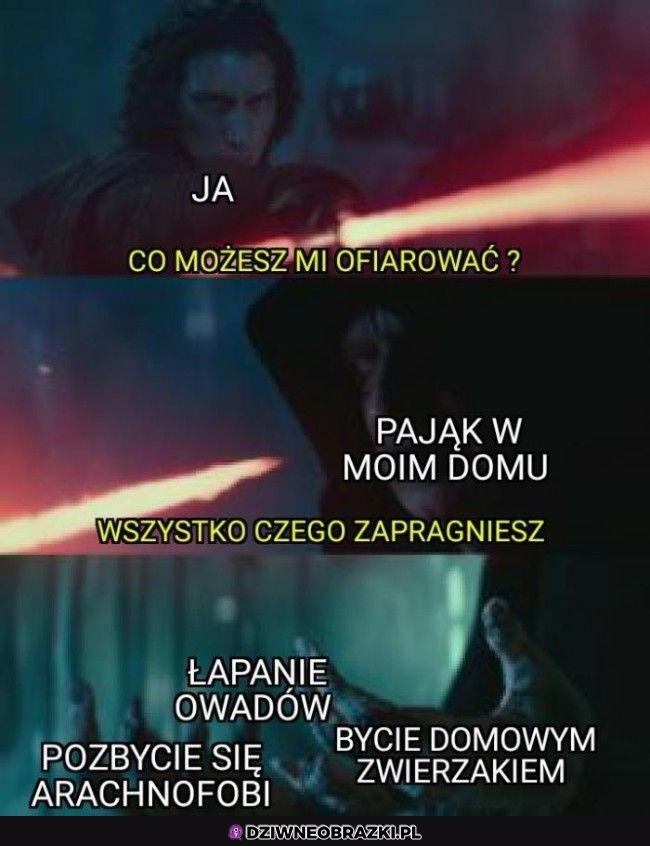 Najlepszy lokator