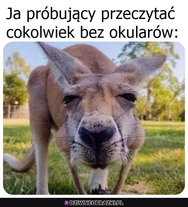 Oczka trzeba troszkę zmrużyć :P 