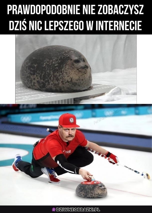 Dobra fotoszopka