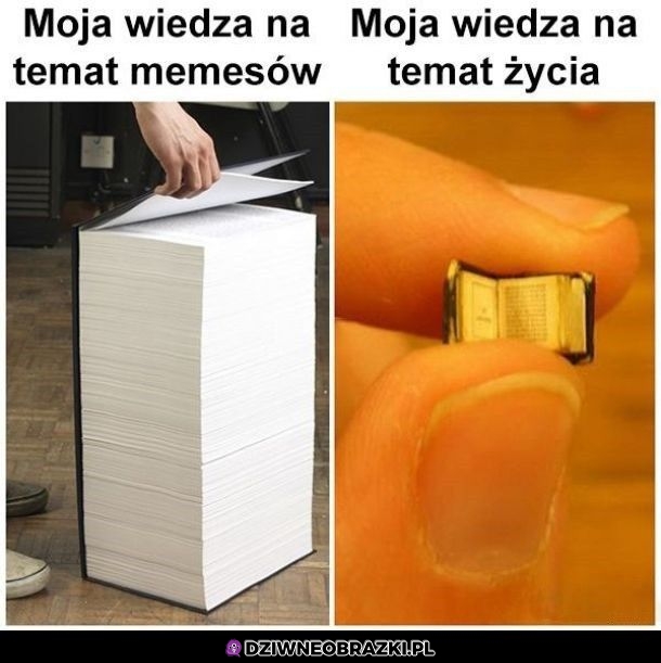 Wiedza