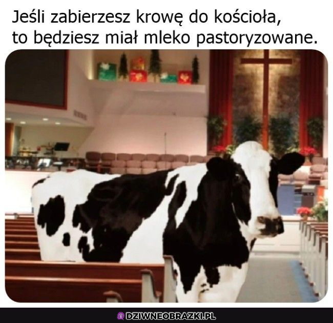 Mleko z kościoła