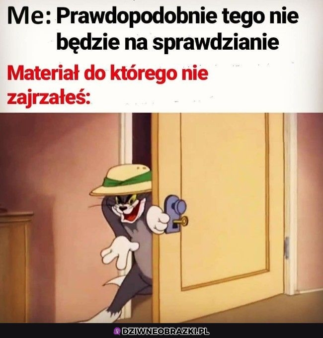 Zawsze