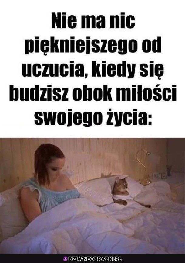 Cudowne uczucie