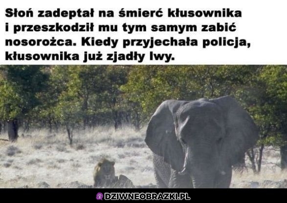 I pięknie
