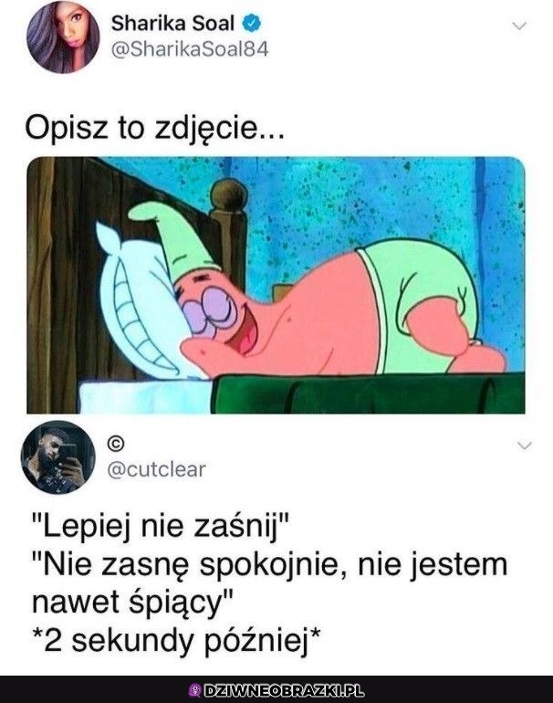 Idealny opis