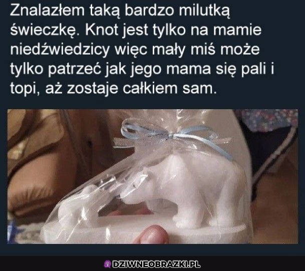 Milusia świeczka