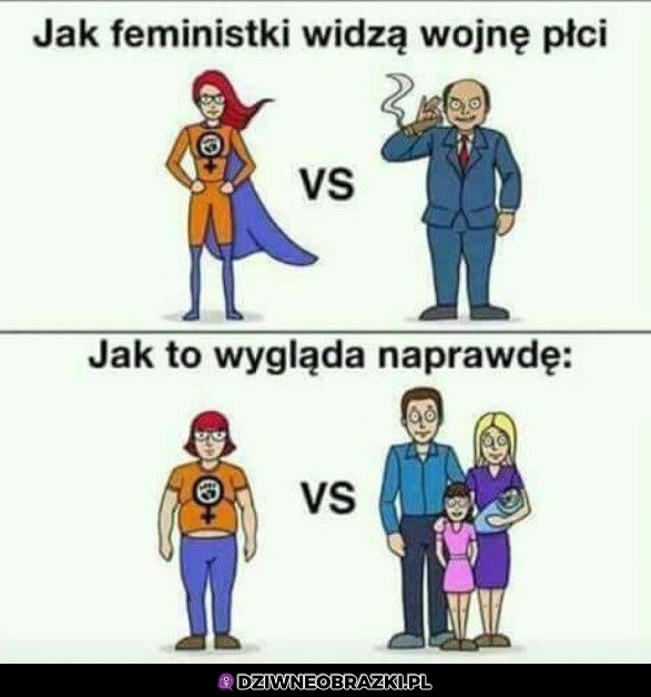 Wojna płci