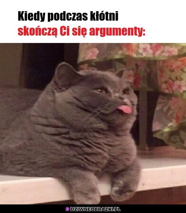 Argument ostateczny