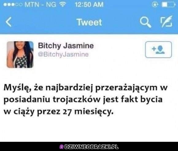 Dlatego wyginiemy