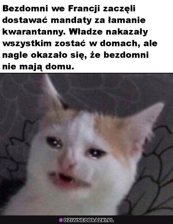 Że co