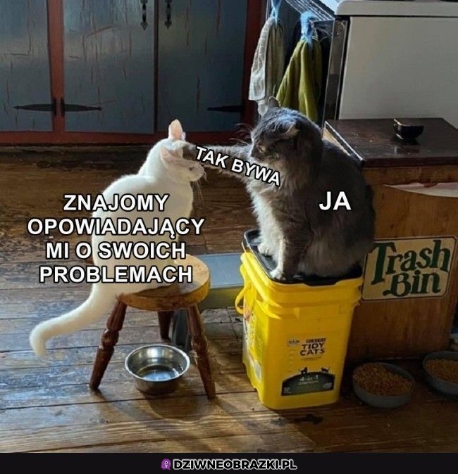 Pocieszam