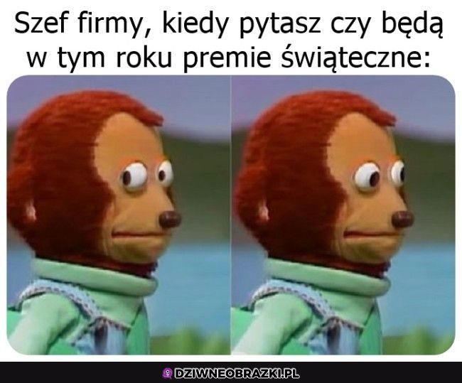 Jakie premie