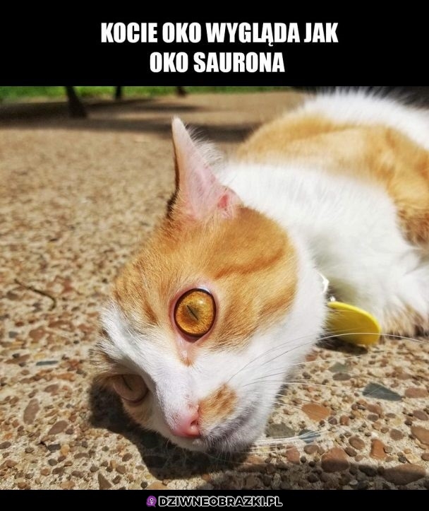 Oko Saurona