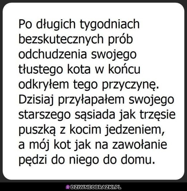 To dlatego nic z tego nie wychodziło