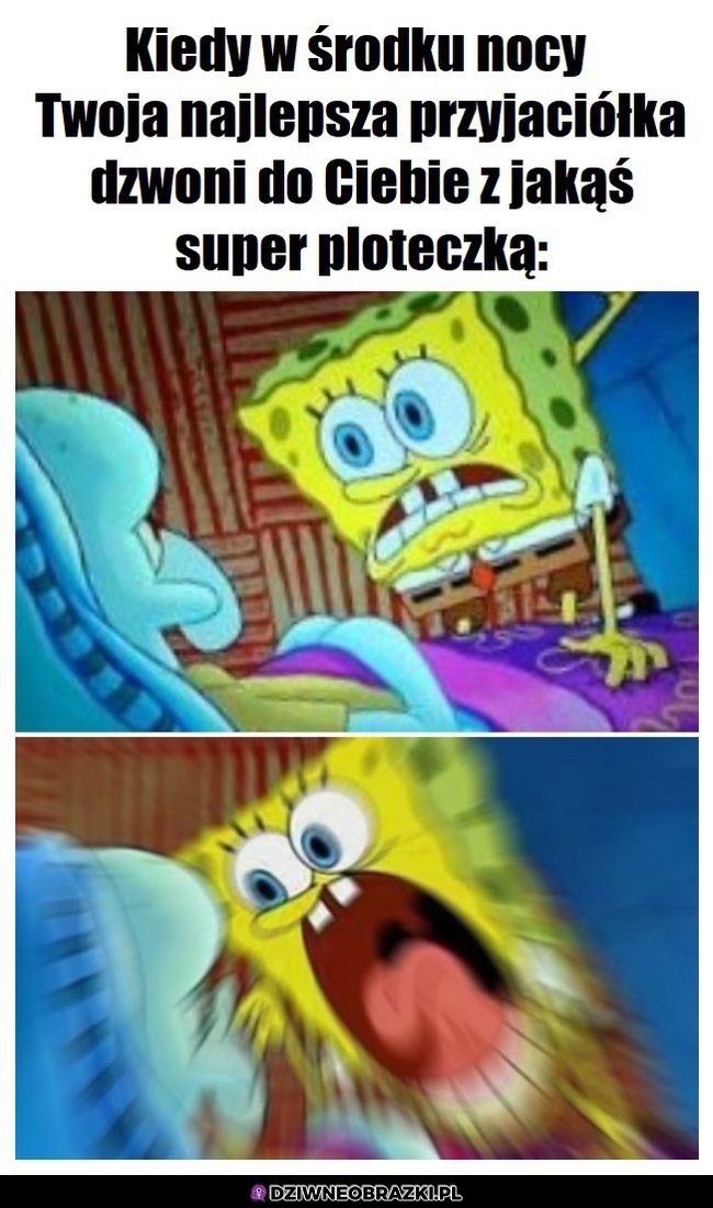 Ploteczki