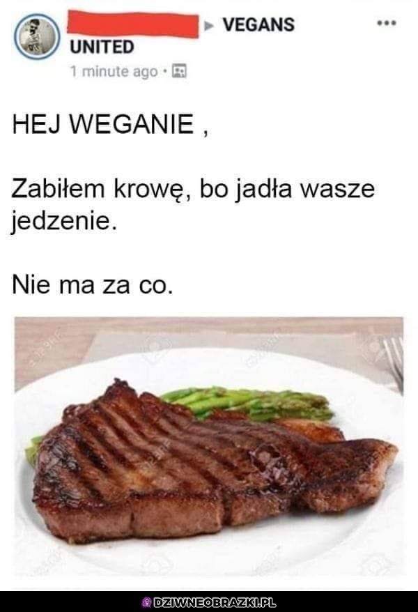 Nie ma za co