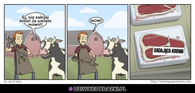Gadająca krowa