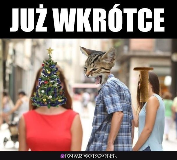 Już niedługo