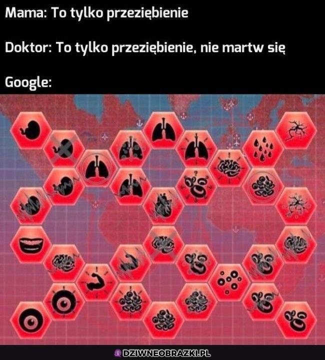 Kiedy zapytasz google co ci jest