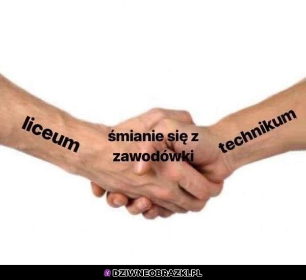 Sojusz