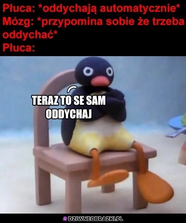 No weźcie