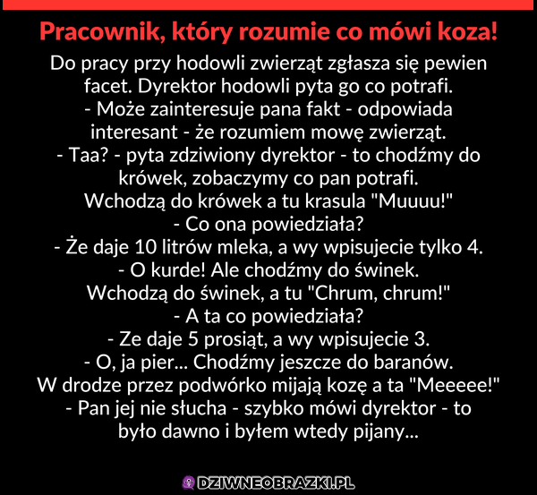 Pracownik, który potrafi rozmawiać ze zwierzętami!