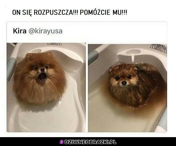Ratujcie go