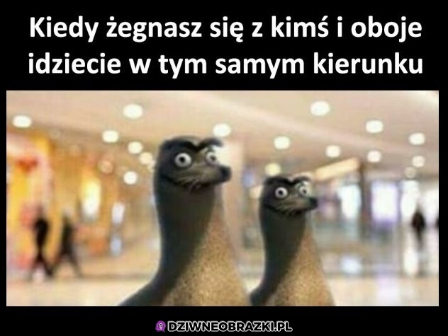 Niezręcznie