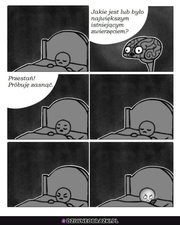 No i muszę sprawdzić