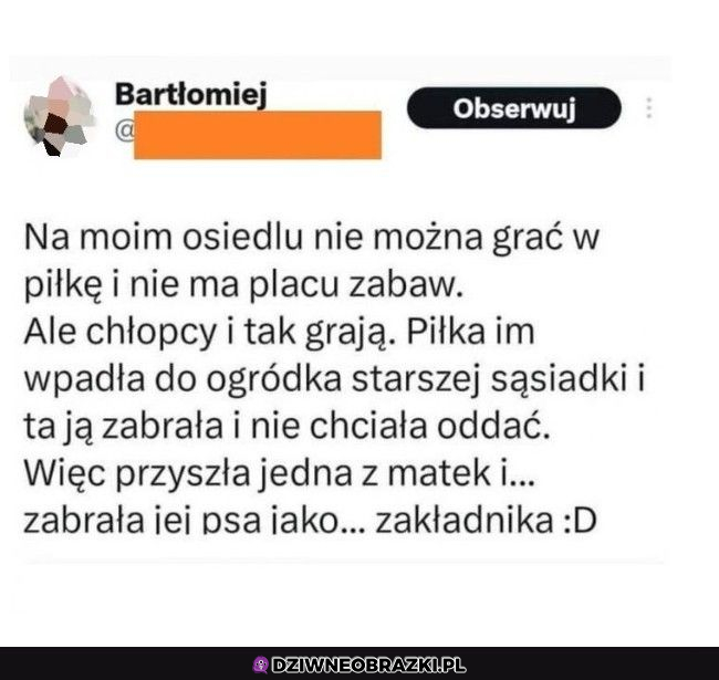 Rozgrywki mafii osiedlowej 