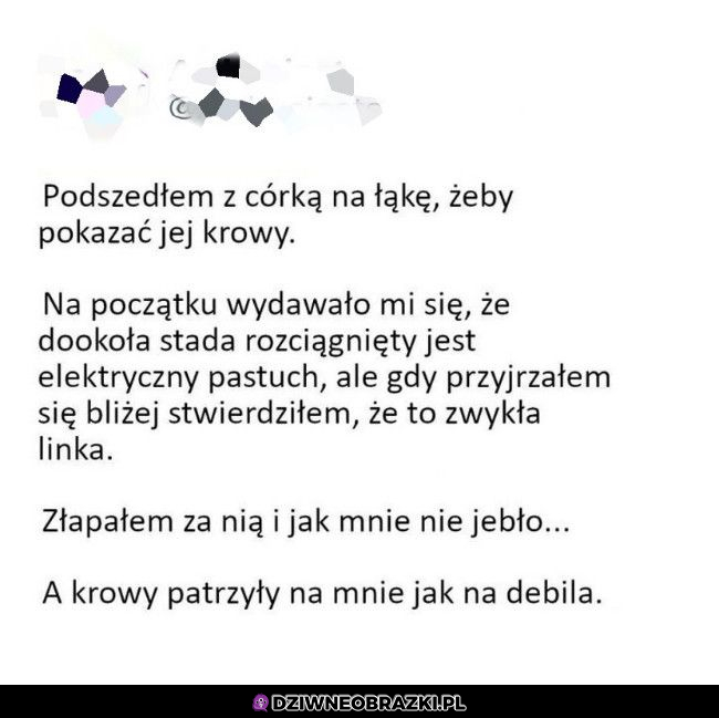 To nie było najmądrzejsze