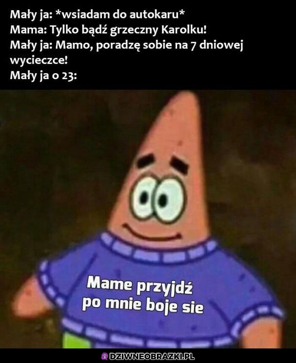 Szkolne wycieczki