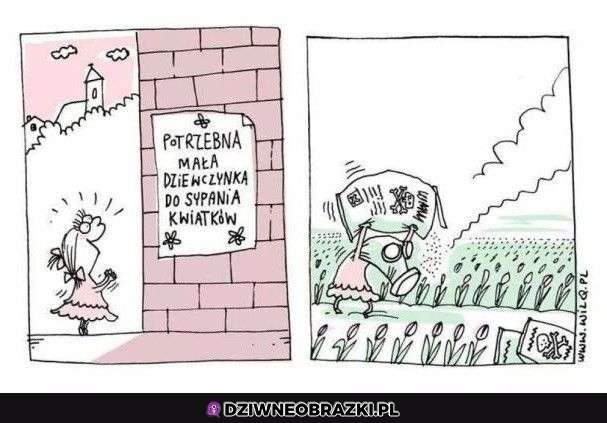 A jednak nie o to chodziło