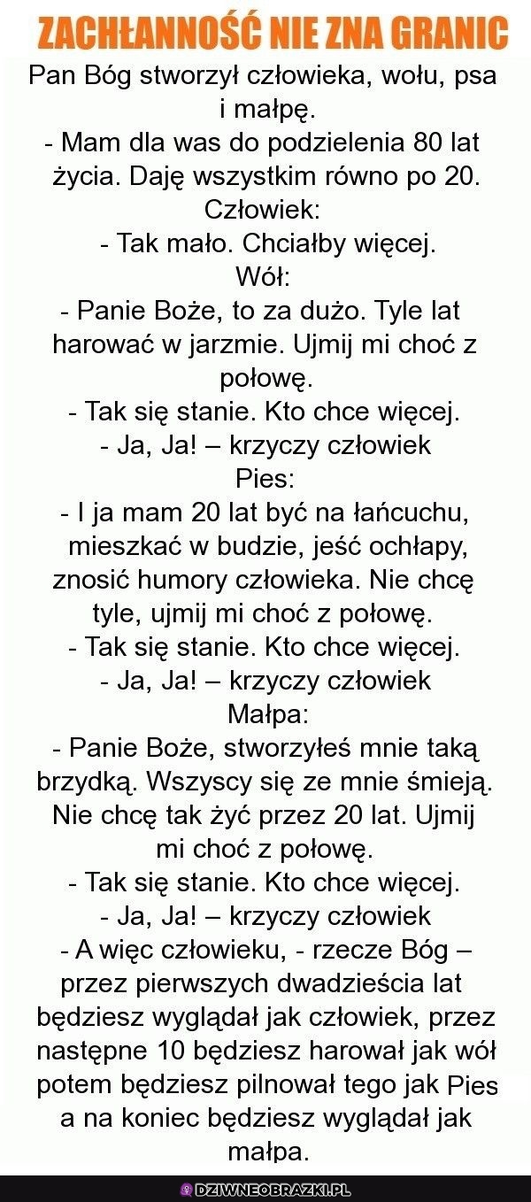 I tak to właśnie jest