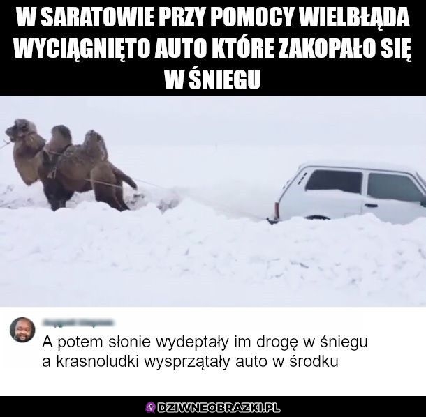 Normalka w Rosji