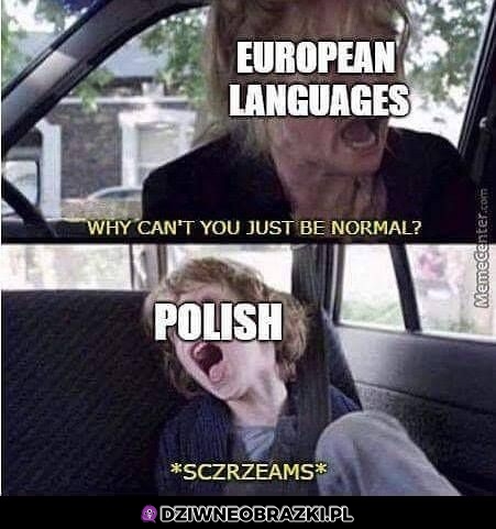 Język polski